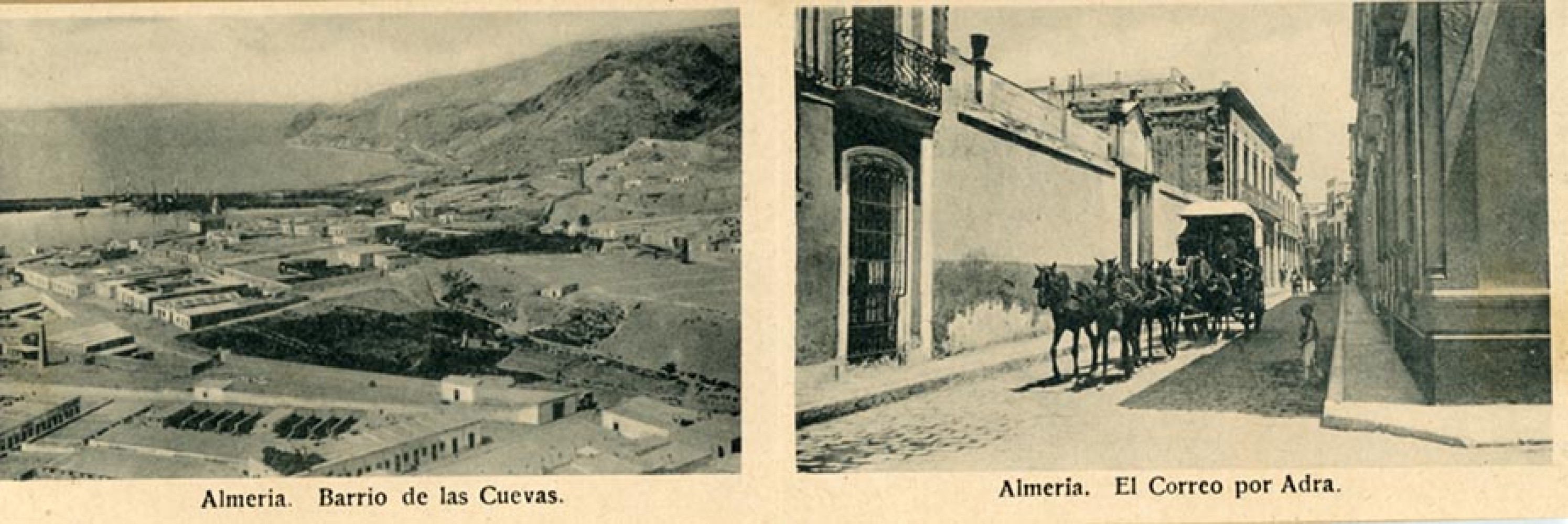 P 05.jpg